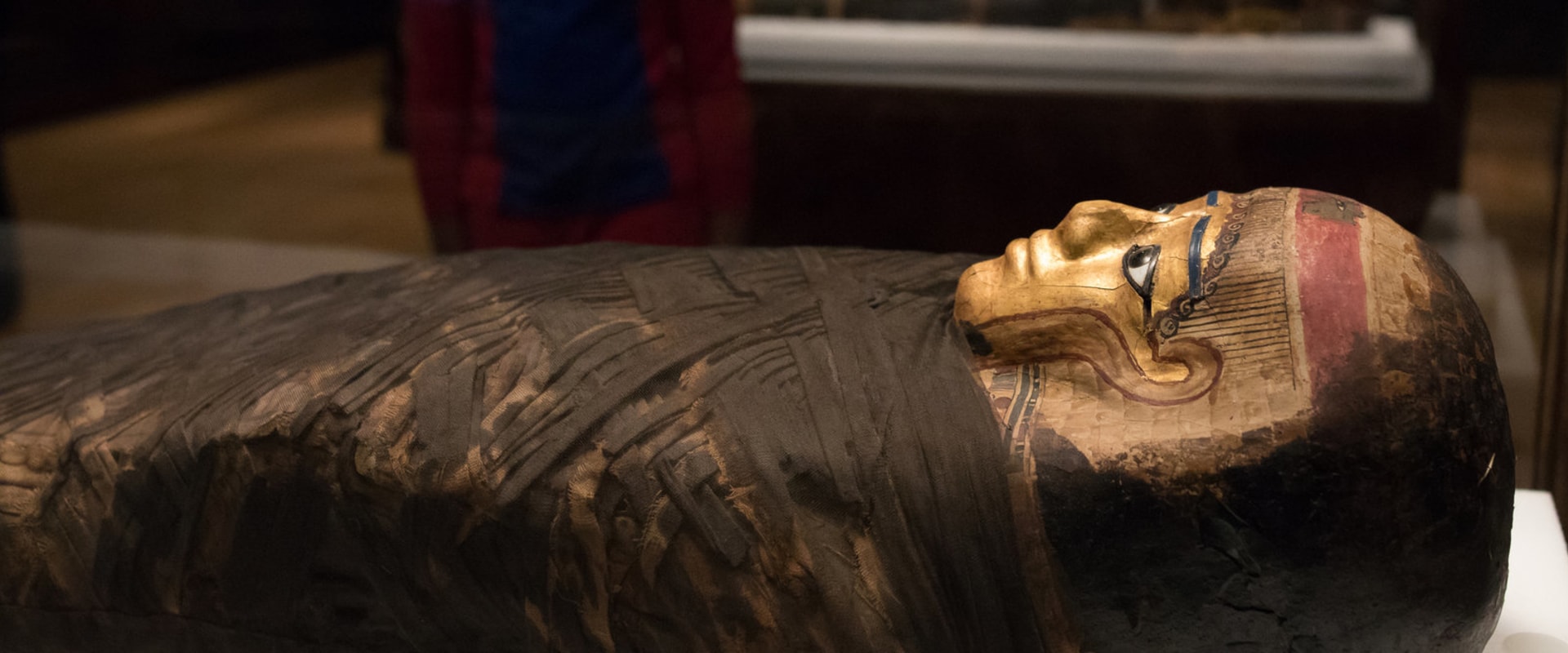 Uncovering the Mysteries of Mummies