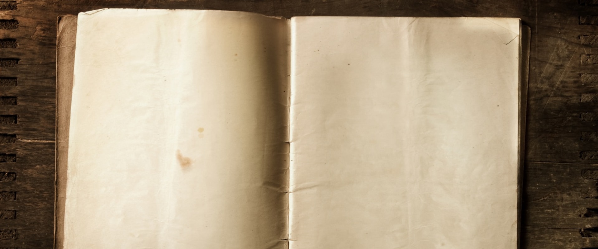 Diaries and Letters: Exploring Primary Sources of World History