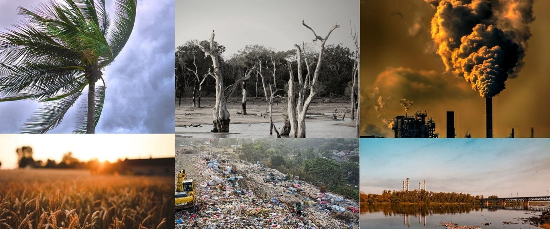 The Impact on the Environment: Understanding the Effects of Climate Change