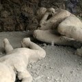 The Devastating Pompeii Eruption: A Comprehensive Look into One of the World's Most Notorious Natural Disasters