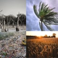 The Impact on the Environment: Understanding the Effects of Climate Change
