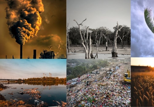 The Impact on the Environment: Understanding the Effects of Climate Change